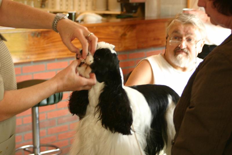 JH dag 2008 076.jpg